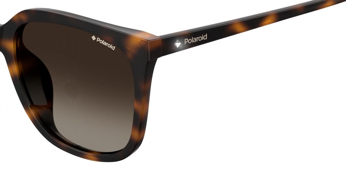 PLD 4083/F/S 086 56 LA DARK HAVANA